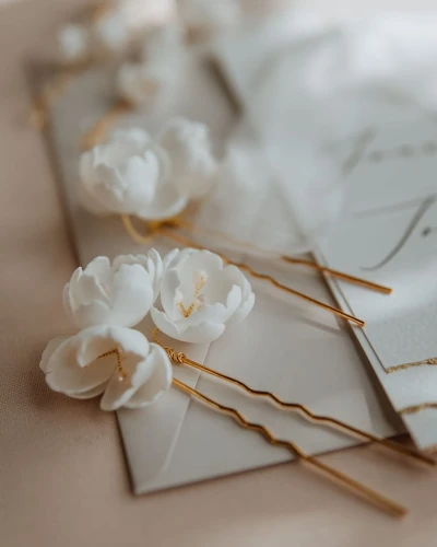 6-0004a paulinaleczyckafotografia.JPG